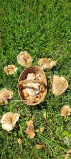 La Casina del Valle Escondido - 1