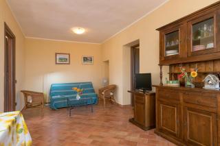 Acacia - Santa Luce - 6