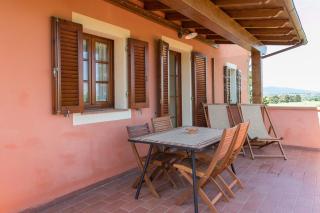 Acacia - Santa Luce - 9