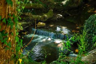 Gites Les Hiboux - 2