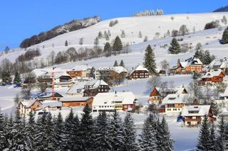 Haus Barbara - 2