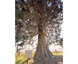 Bergchalet Mirabell - Hofgut - 7