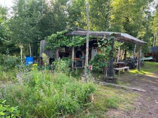Rustic Cabin on Homestead - 3
