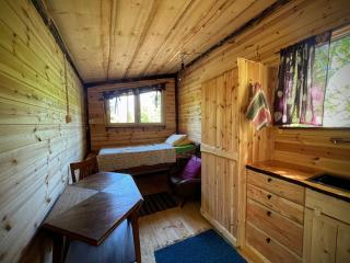 Rustic Cabin on Homestead - 5