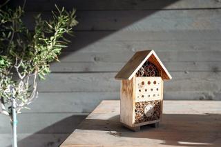 Ferienwohnung am Tanzberg - Oberkirch - 2