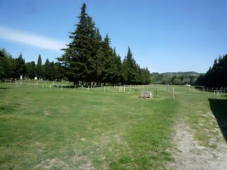 Gîte du Poney Fringant - 2