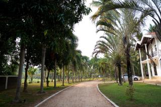 Villa Di Angelo Negombo - 7