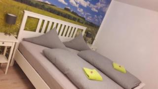 Wohnung mit Terasse im Schwarzwald - 5