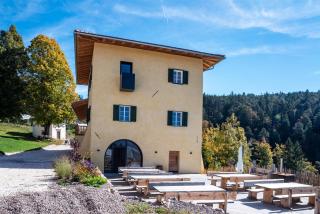 Hof im Thal Apt Lärche - 1