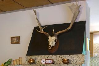 Ferienhaus Carpin - 3