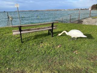 Maisonette am See - 5