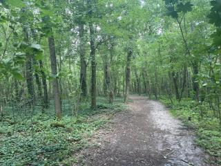 Ferien am Berliner Mauerweg - Berlin - 1