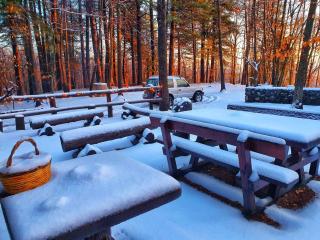 Bosco Magaudo - Casa U Parmento - 8