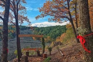 Bosco Magaudo - Casa U Parmento - 2