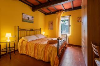 La pieve - Mimose - 3