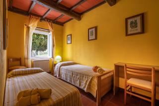 La pieve - Mimose - 1