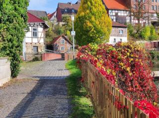 Tiny House an der Werra - 7