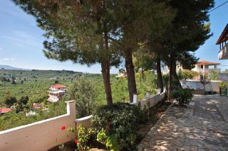 Zante View Family Studio 5 - 2