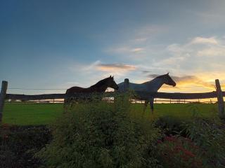 Häuser Traumblick und Alpenzauber - 5