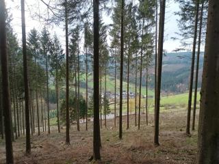 Häuser Traumblick und Alpenzauber - 6