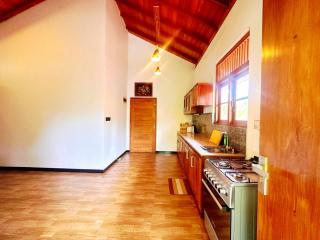 Anu villa Bentota - 6