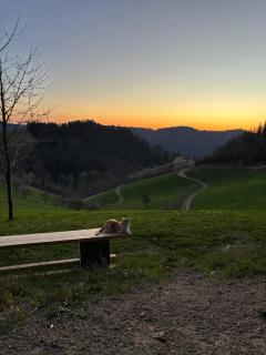 Suschethof - 9