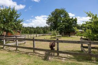 Ferienwohnung Immenhof - 2