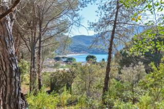 Appartamento La Spiga - Procchio - 9