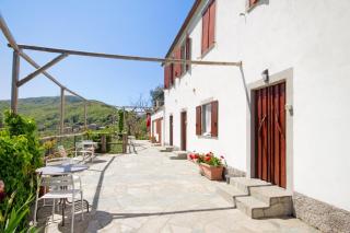 Monolocale Fattorialmare Viola - 1