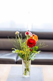 Appartement Johst am Wörthersee - 6