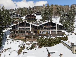 Apartment Les Arsets 01-203 by Interhome - 4