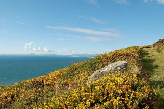 Dihangfa Wylau Holiday Escape Bungalow - 6