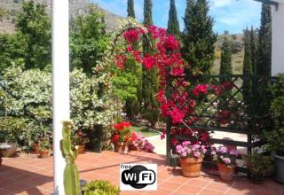 Finca Santa Matilde Málaga - 5