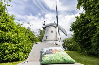 Windmühle Betty an der Nordsee - 9