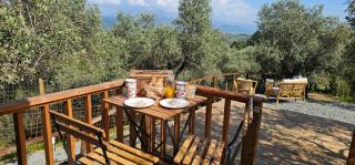 Casa Novena glamping tra gli uliveti - 3