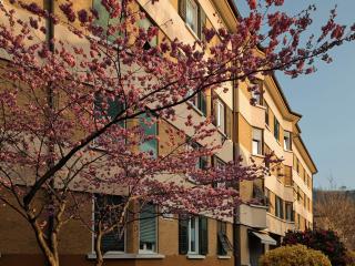 Central Suite Meran - 4