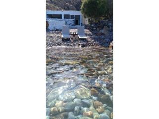 Seagull Syros Seaside - 0