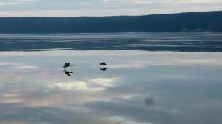 Tiny House Nr 2 - Schwielowsee - 3