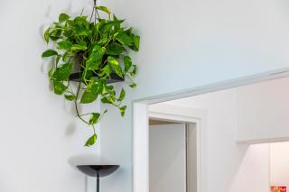 Good Vibes Home - 3