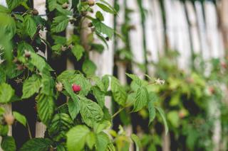 Ferienhof Mrowka - 9