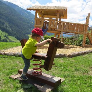 Voppichlhof App Enzian - 7