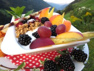 Voppichlhof App Enzian - 2