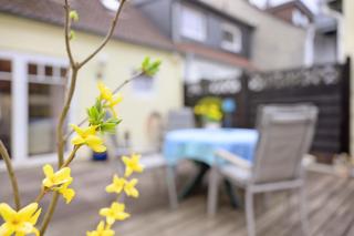 Apartment Altstadtflair - Husum - 1