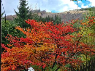 Ferienwohnungen Dorfliebe Dörnberg - Bestwig - 2