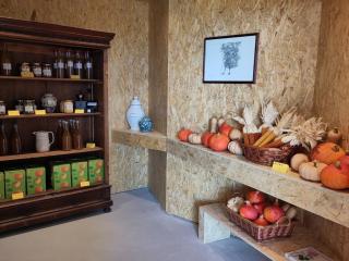 Apartment Matthäus - 4