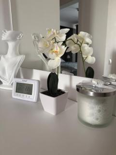 Blue Ivy Residence - 4