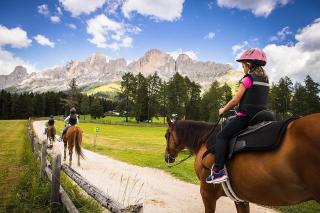 Angerle Alm Apt Rosengarten - 5