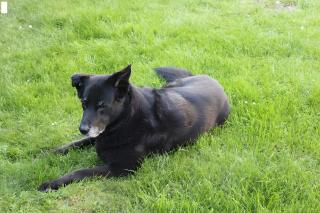 Ferienwohnung Möhneblick - 3