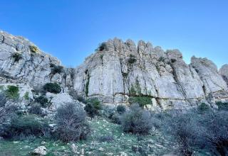 Luxurious penthouse 150 m2 terrace - 8