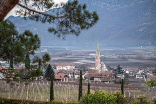 Villa Pinie Apt 1 - Terlano - 5